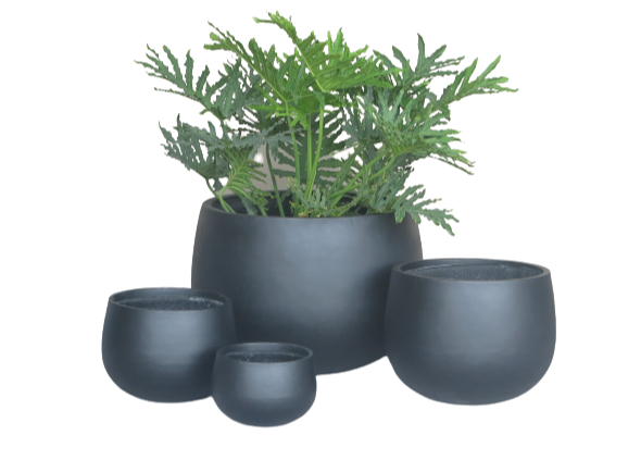 West Pot Black